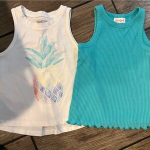 Two (2) Toddler Girls Tank Tops